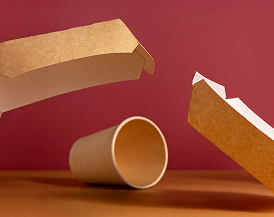CAJAS Y BANDEJAS DE PAPEL PARA LLEVAR