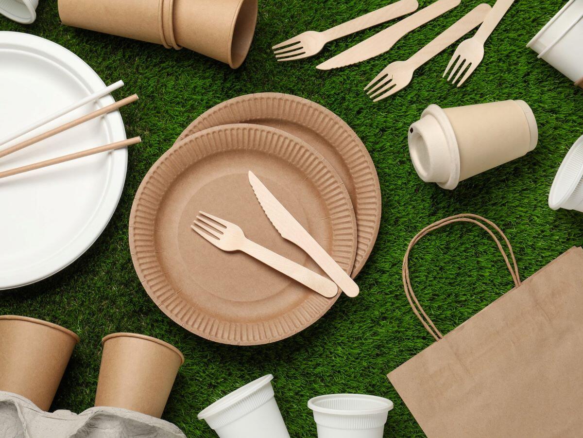 Guía de envases de papel desechables para alimentos: beneficios y aplicaciones
